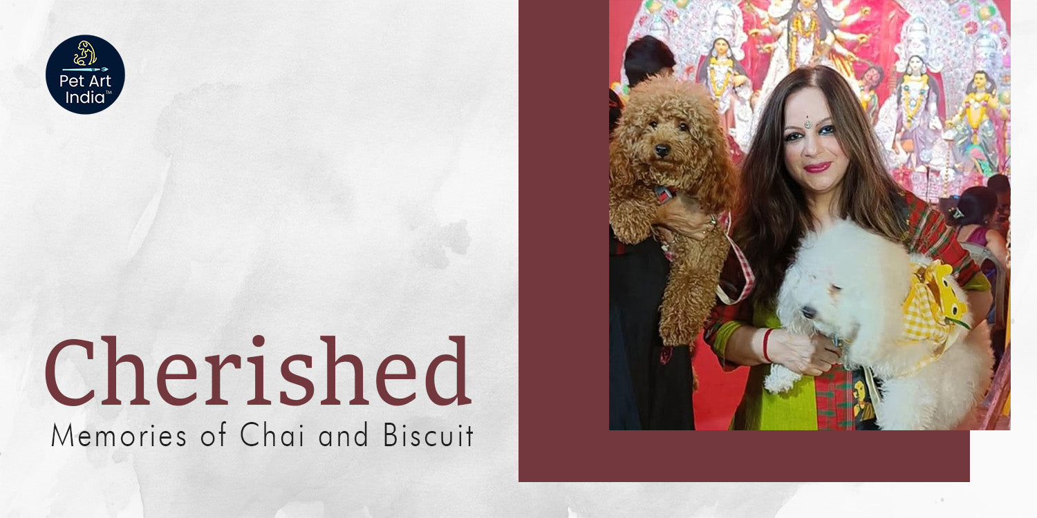 Pet Parent Chronicles: A Portrait of Love - How Chai & Biscuit Brought Joy Across Borders